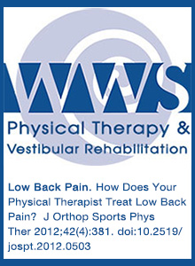 How Does Your Physical Therapist Treat Low Back Pain?