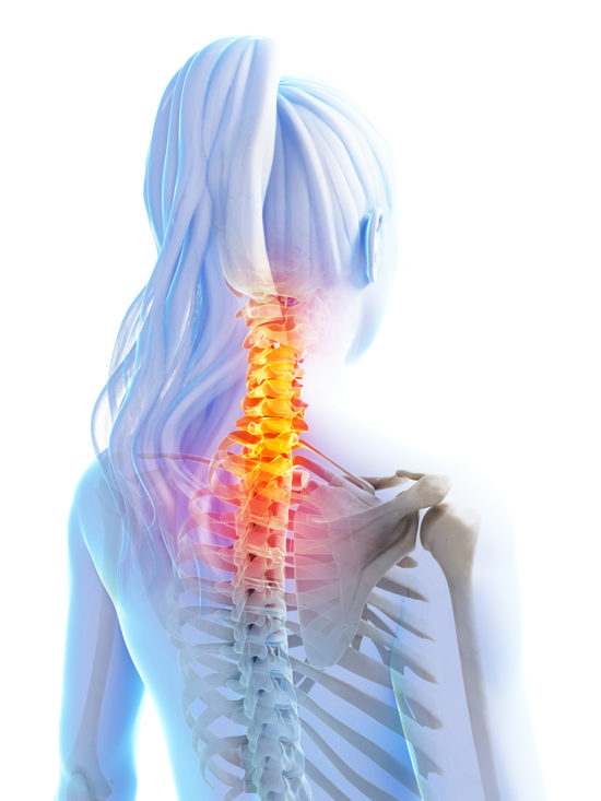 Thoracic Spine Neck & Back Pain